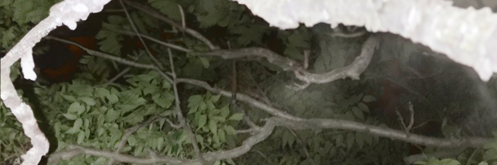 Funsized_Cute's profile banner image