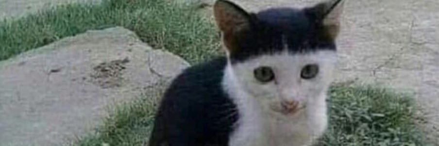 NummmaNrt's profile banner image