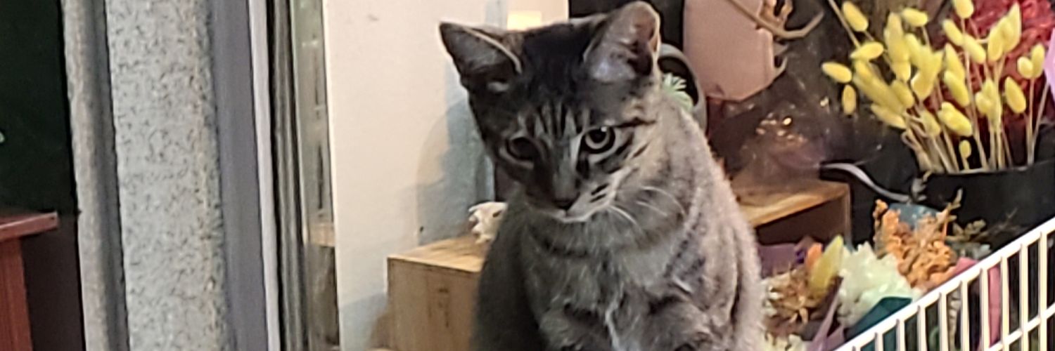 ほむほむ(?) banner