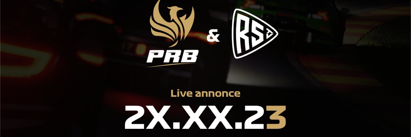 Project Reborn banner