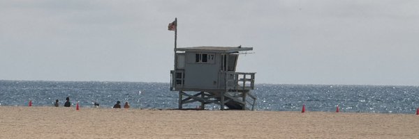 _DropBearApps Profile Banner