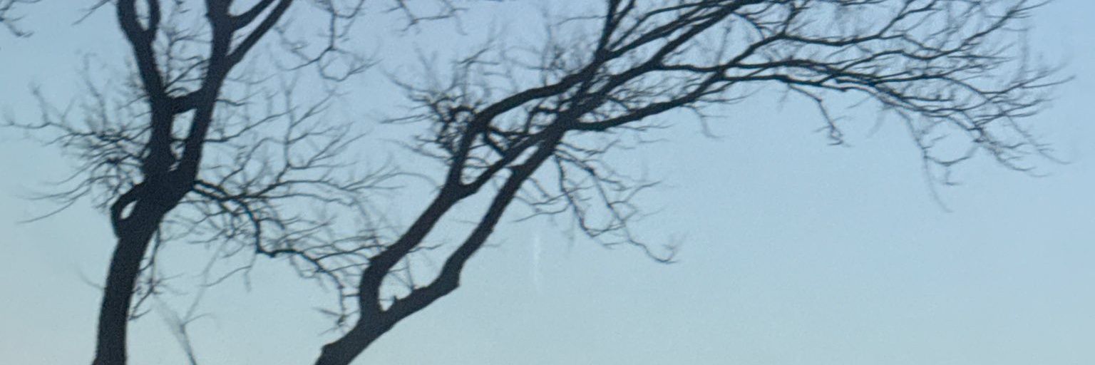 👾 banner