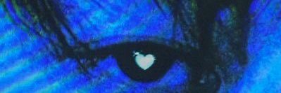 * banner