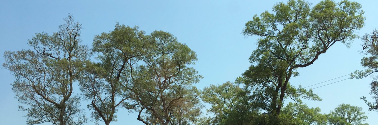 ekaggacitto's profile banner image