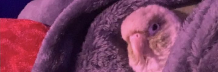 itsjvstJC's profile banner image