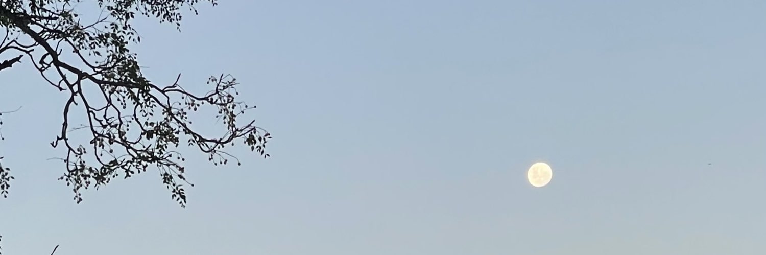 Melolunaa's profile banner image