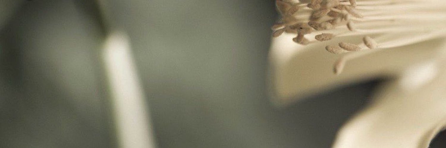 fadedfootnotes's profile banner image