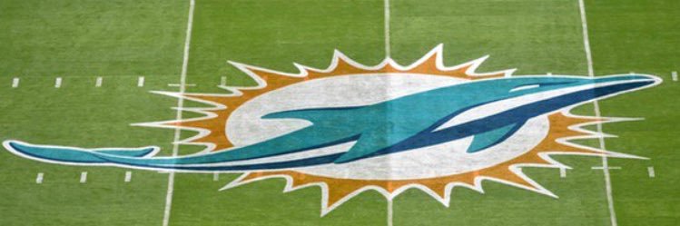 DolphinDiehards's profile banner image