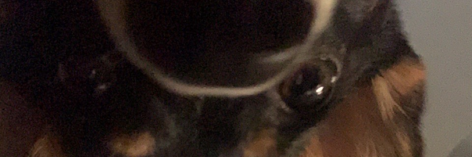 jordanwoos's profile banner image