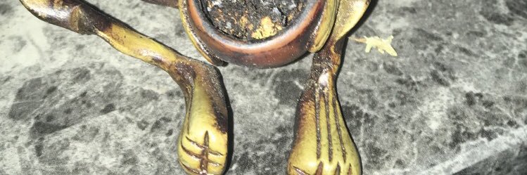 codysocool312's profile banner image