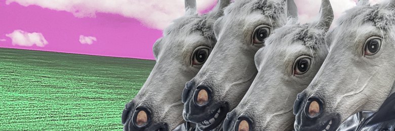 varioushorses4's profile banner image