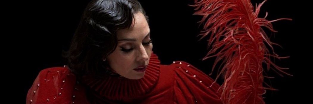diasderay's profile banner image