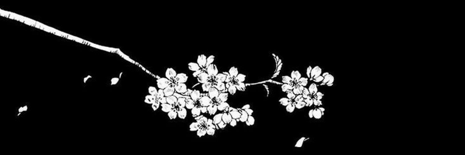 ShaoTang_S's profile banner image
