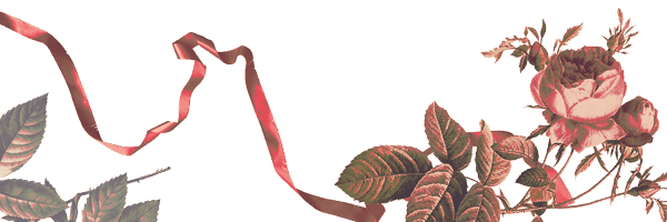 BloomInMemory Profile Banner