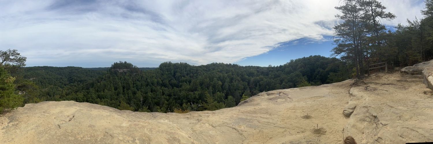 Tafadzwa Chihanga banner