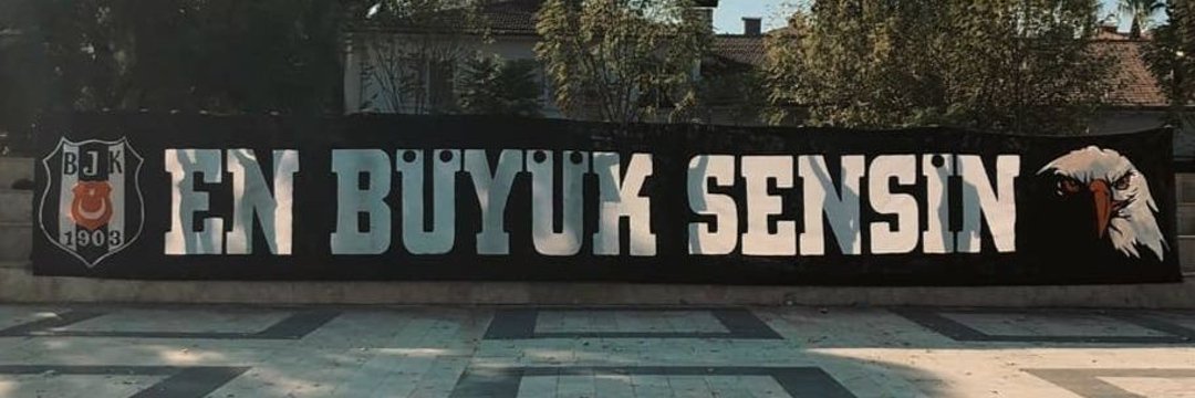 ichbinsevo's profile banner image