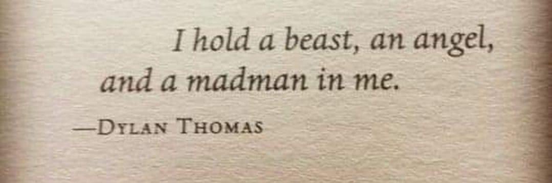 AL Capone (Scar Face) banner