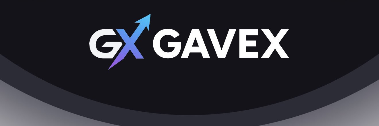GaVex Terminal banner