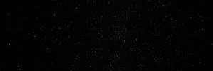 pollaca_'s profile banner image