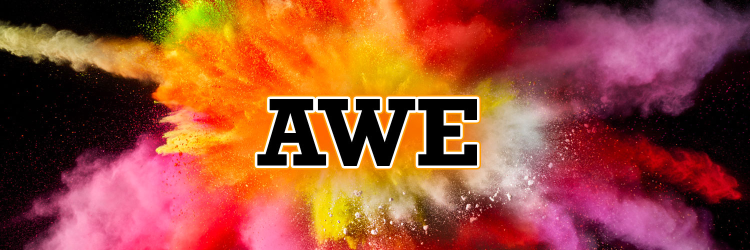 The Awe Project banner