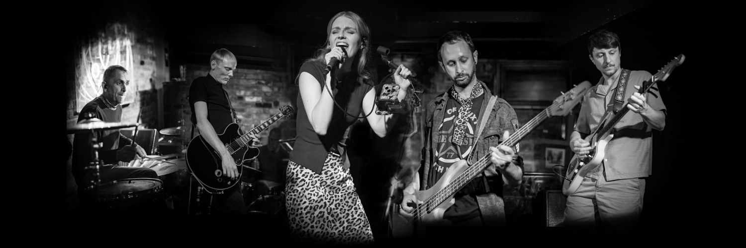 Distorted Model banner