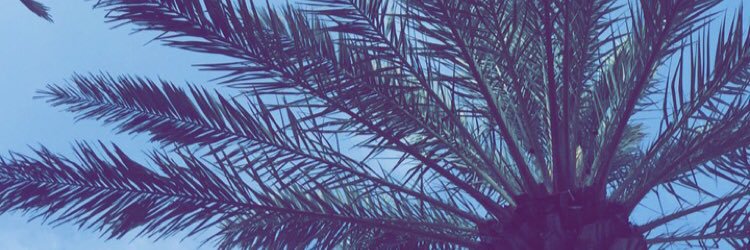 Rachel Gavin banner