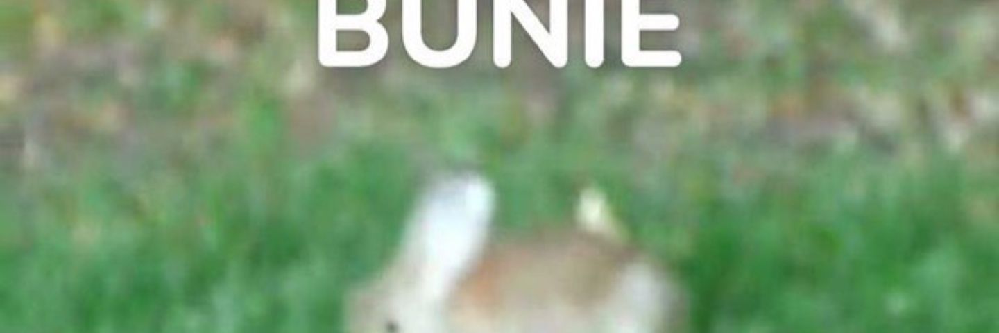 prncessseren1ty's profile banner image