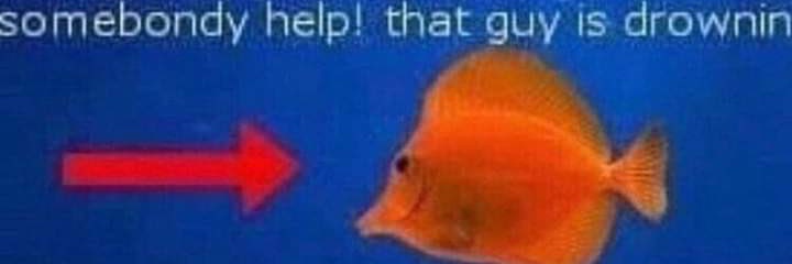 Inky Rain 🍉 banner