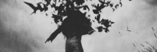 abielinkin's profile banner image