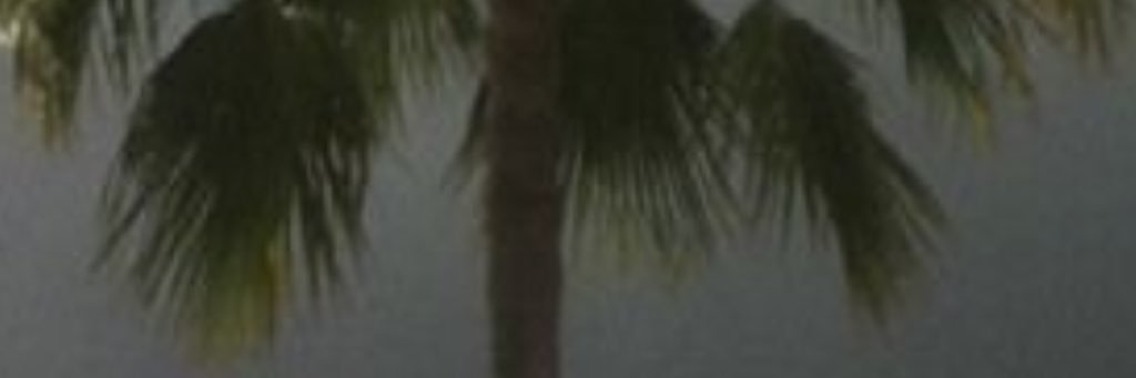 m_kaarp's profile banner image