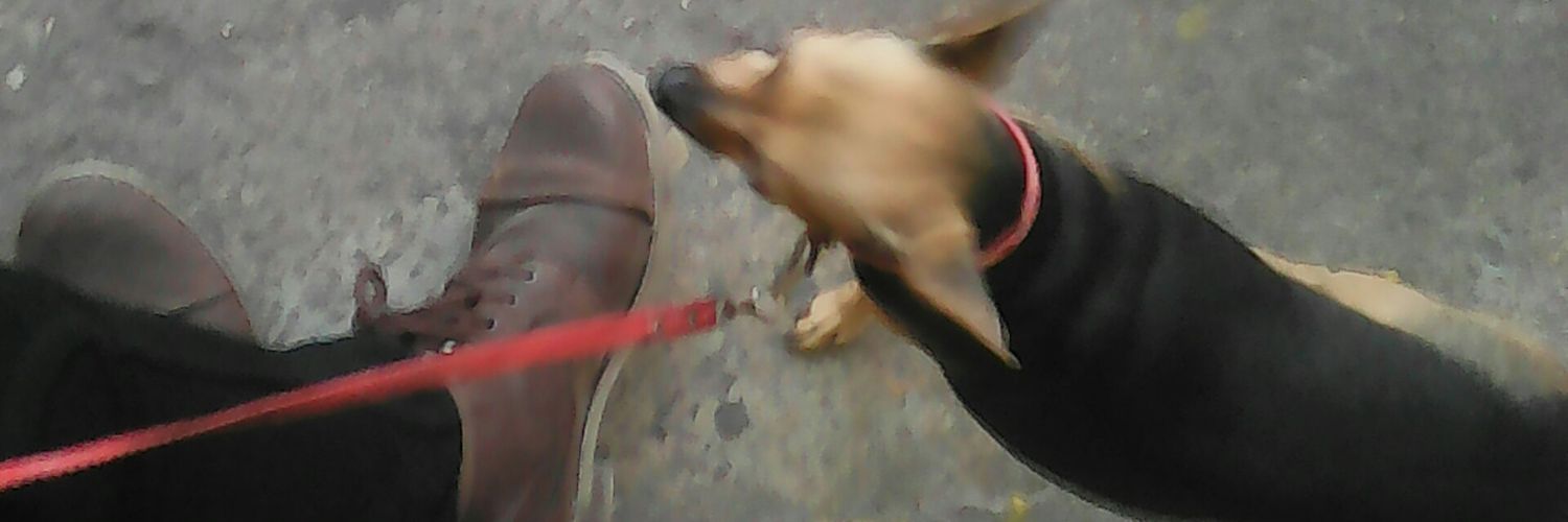 QuiqueeAlmeida's profile banner image