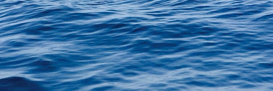 leena_sll's profile banner image