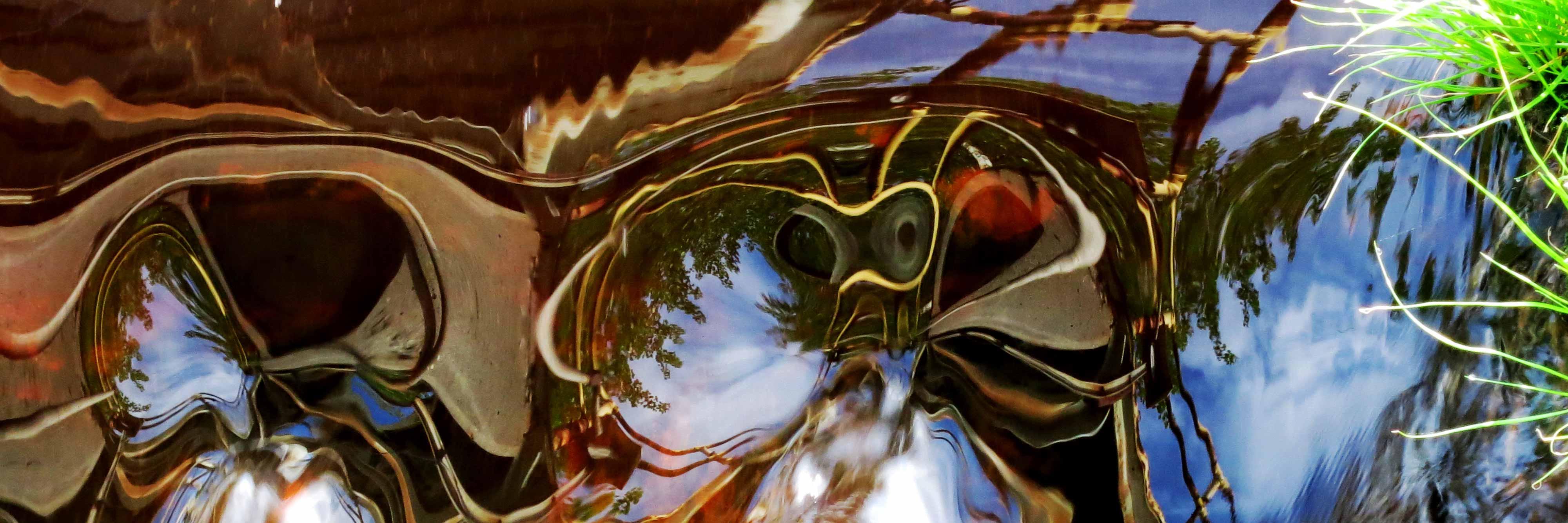 djcfineart's profile banner image