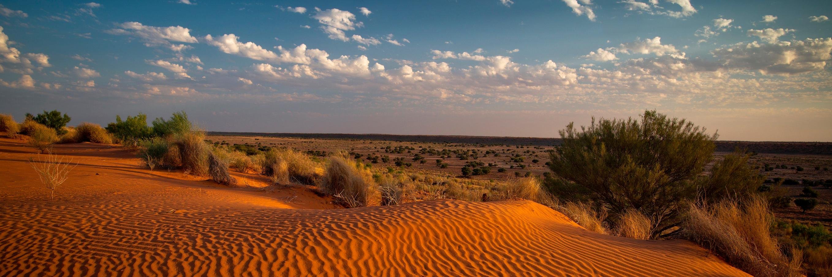 Mary-Anne Healy banner