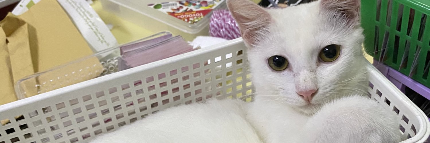 Miauuu Lily ❁ banner