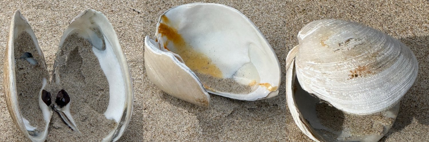 Fr. Orrin Nicholas Halepeska banner