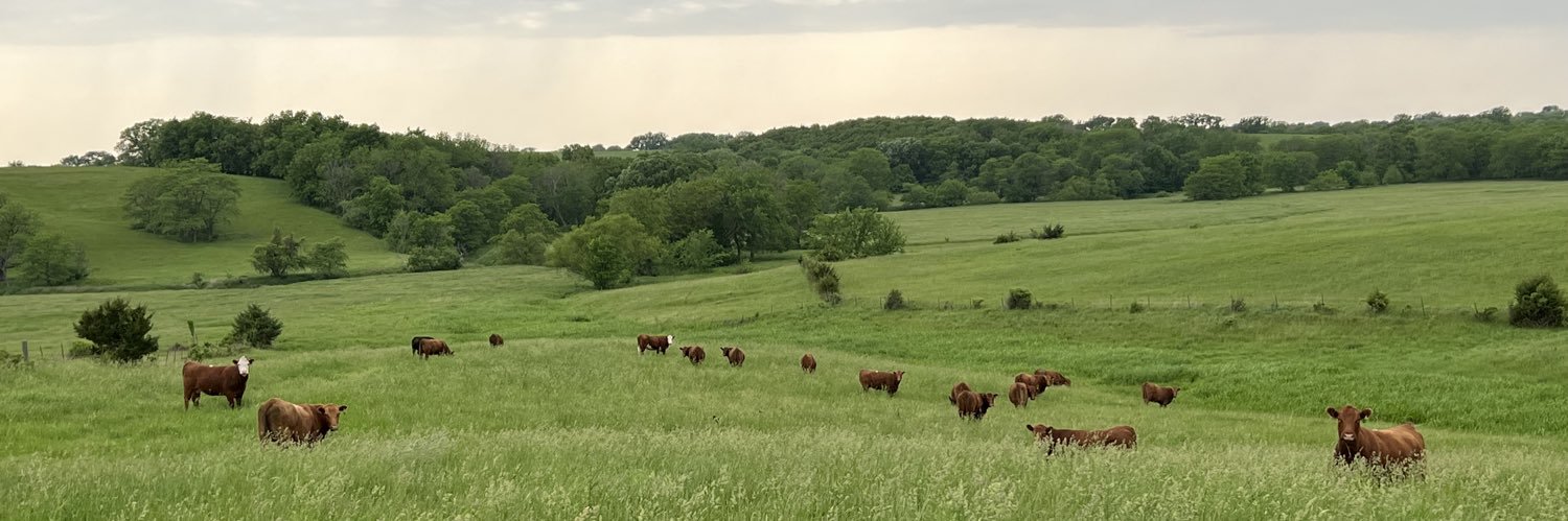 Pasture Peaks Farms LLC's banner