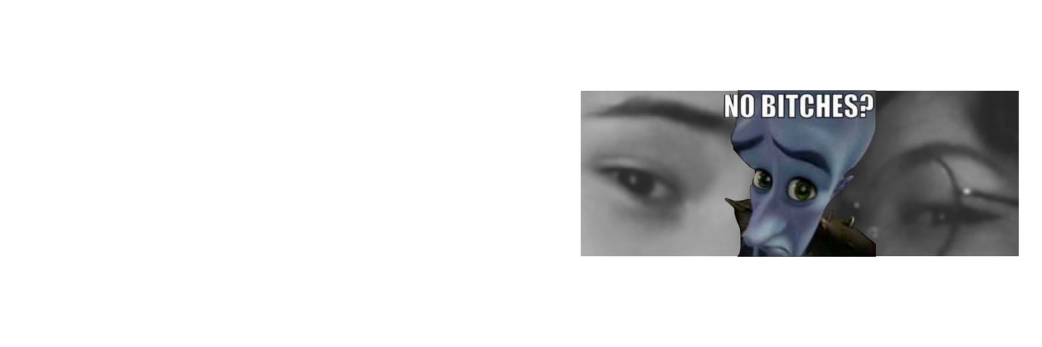panterinha negra banner