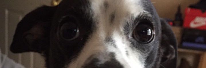 _alfonsitoo's profile banner image