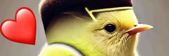 cole palmer herói mundial banner