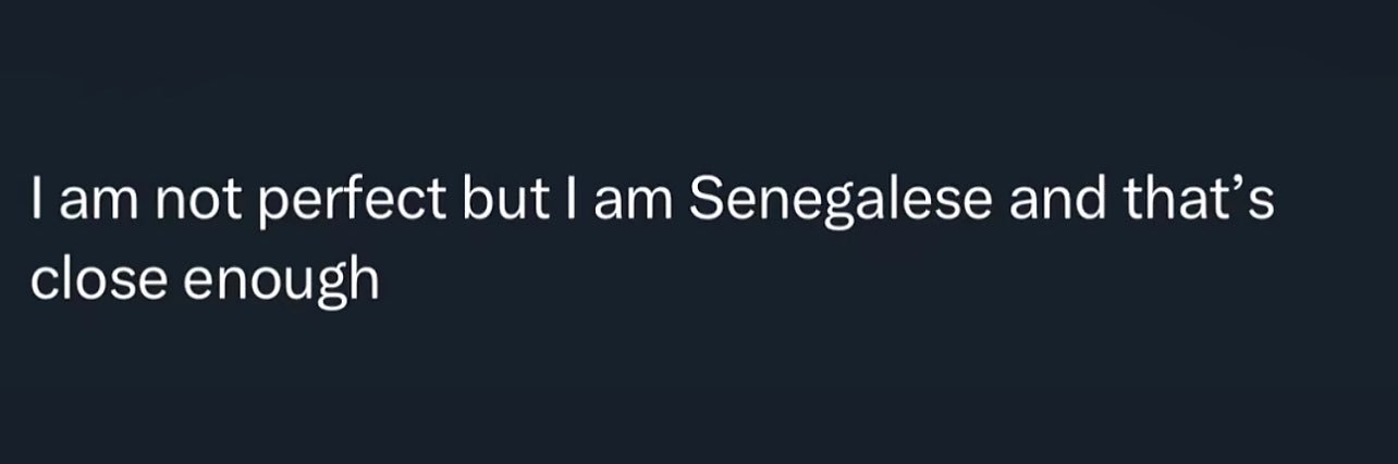 15.🇸🇳's banner
