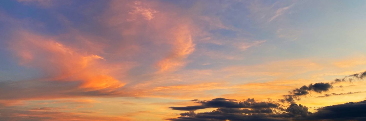 Limavega's profile banner image
