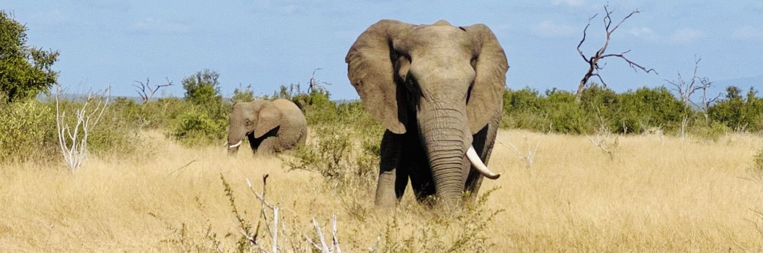 Nelly RamírezMoncada banner