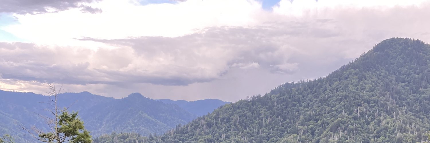 danishsayed0's profile banner image
