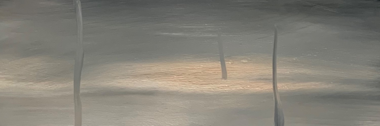 hcn_ns's profile banner image