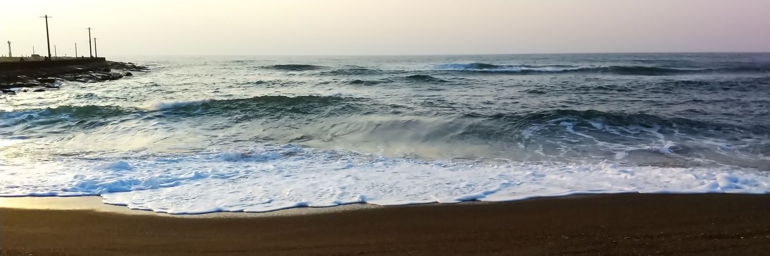 header image