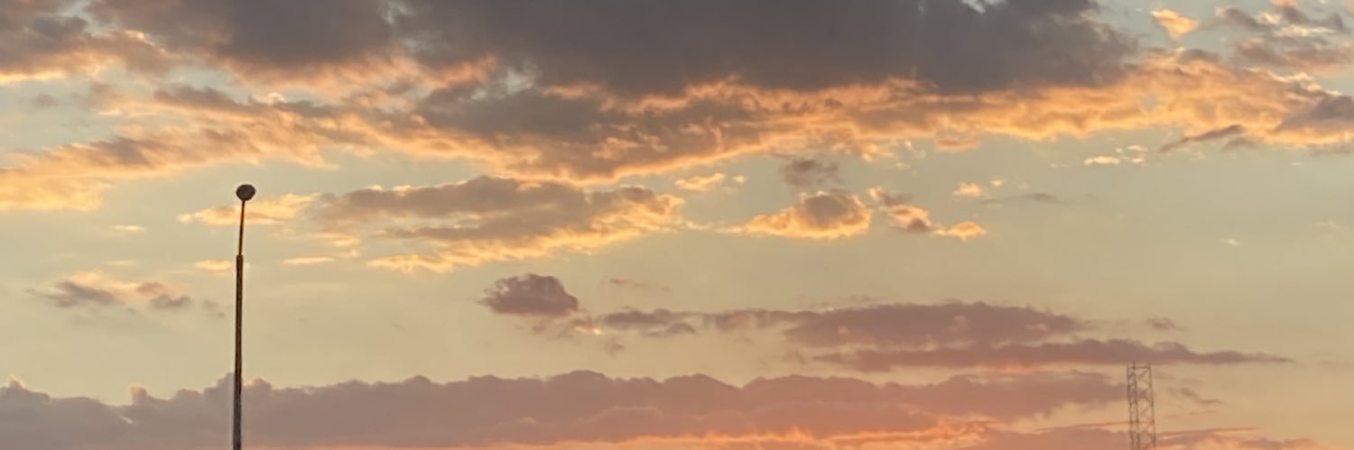 sofiaanalysa's profile banner image