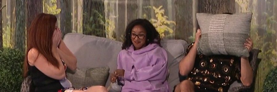 RealiTea 🐝 Hollis Hive 🐝 banner