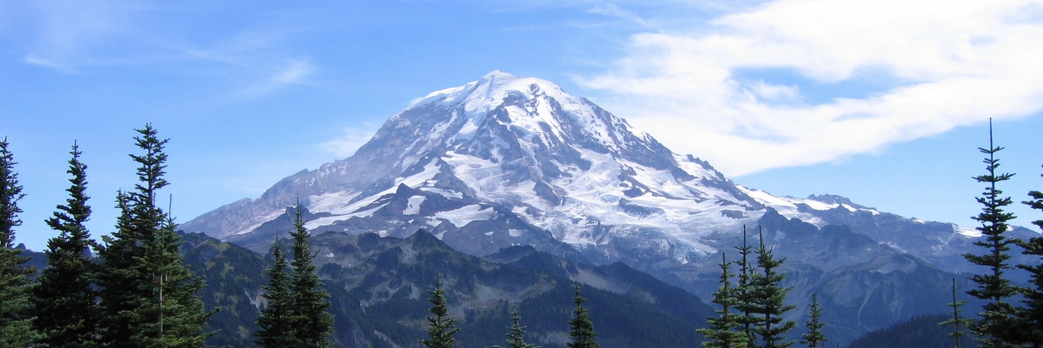 Treehuggers Int'l. banner