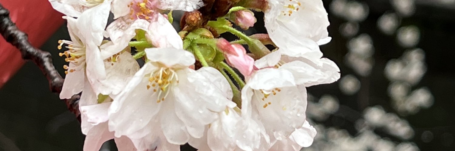 tmck1111's profile banner image